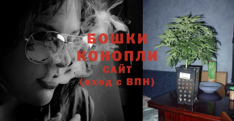 mega ссылки  Боровичи  Конопля White Widow 